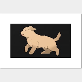 Dog - Labradoodle Posters and Art